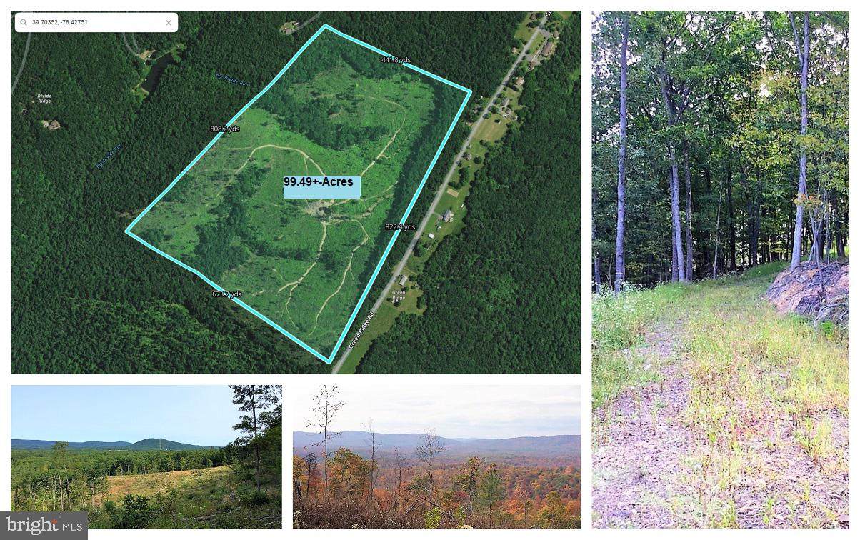 Green Ridge Road - Photo 1