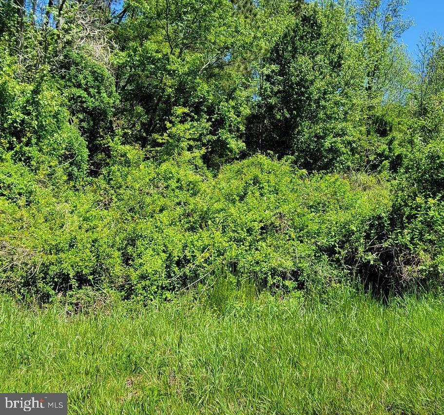 Lot 3 Burnt Mill Road - Photo 1