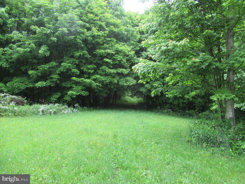 Rockcliff Road - Photo 1