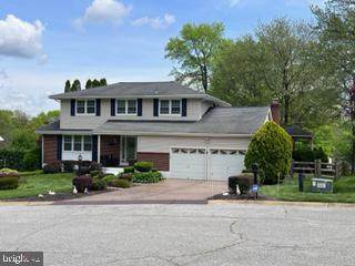 12 Basswood Lane - Photo 1