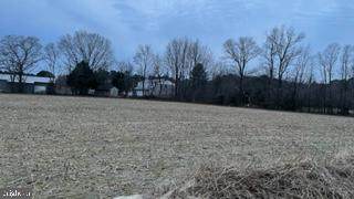 36031 Living Hope Lane - Photo 1