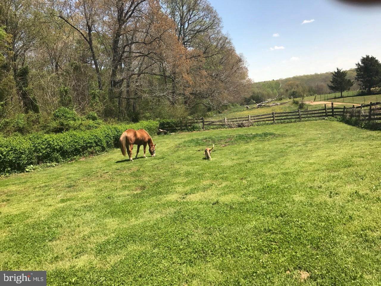 18473 Fields Mill Road - Photo 1