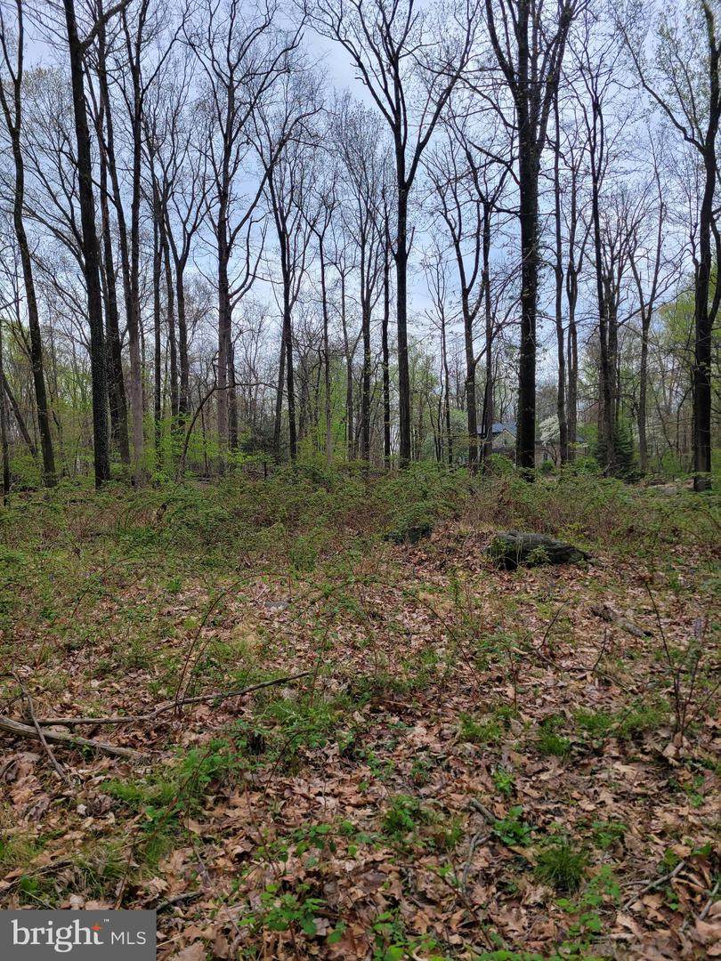 2009 Hill Road - Photo 1