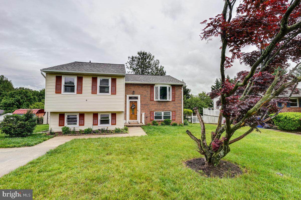 4 White Spruce Court - Photo 1