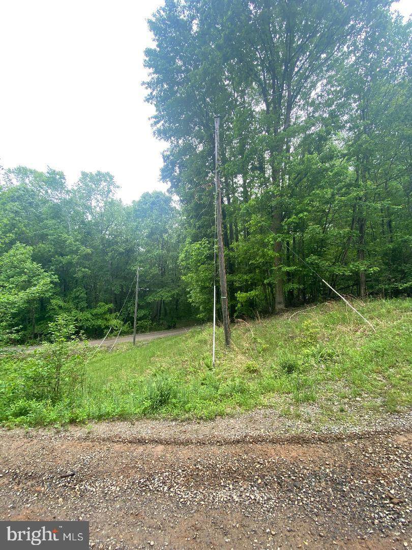 Potomac Forest Drive - Photo 1