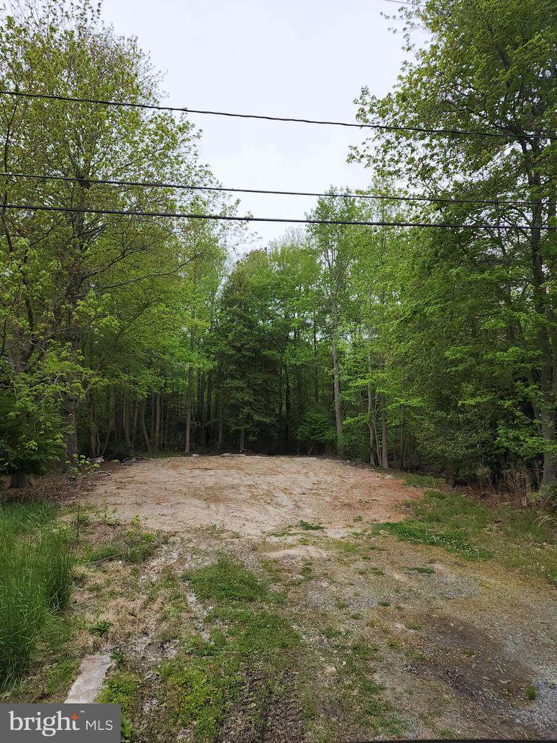 37097 Carolina Drive - Photo 1