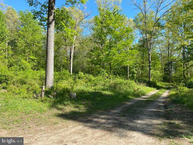 4000 Grandview Drive - Photo 1