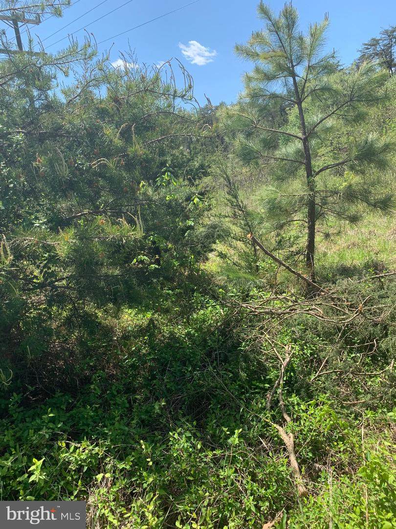 6220 Courthouse Road - Photo 1