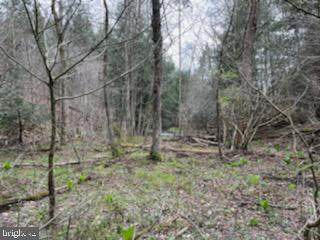 108 Dark Hollow Road - Photo 1