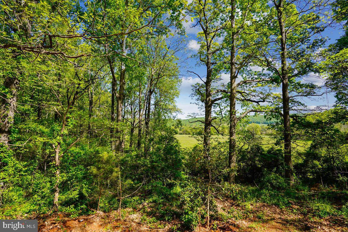 Merry Oaks Road - Photo 1