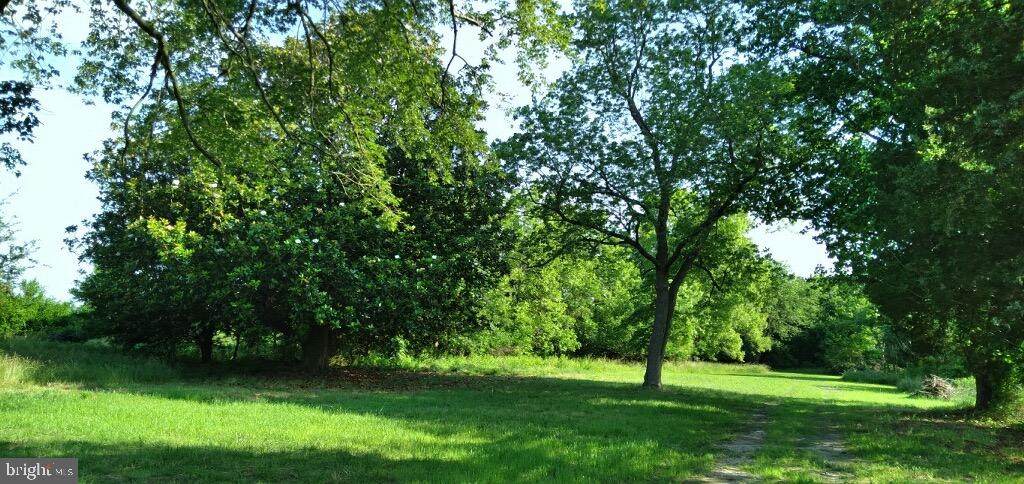8933 Jersey Road - Photo 1