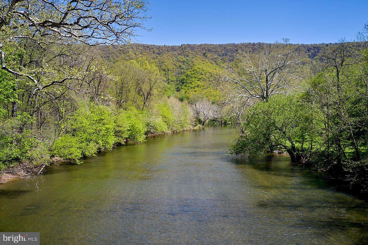 Indian Camp Trail (Lot 40) - Photo 1