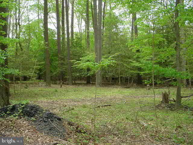 9017 Horseshoe Lane - Photo 1