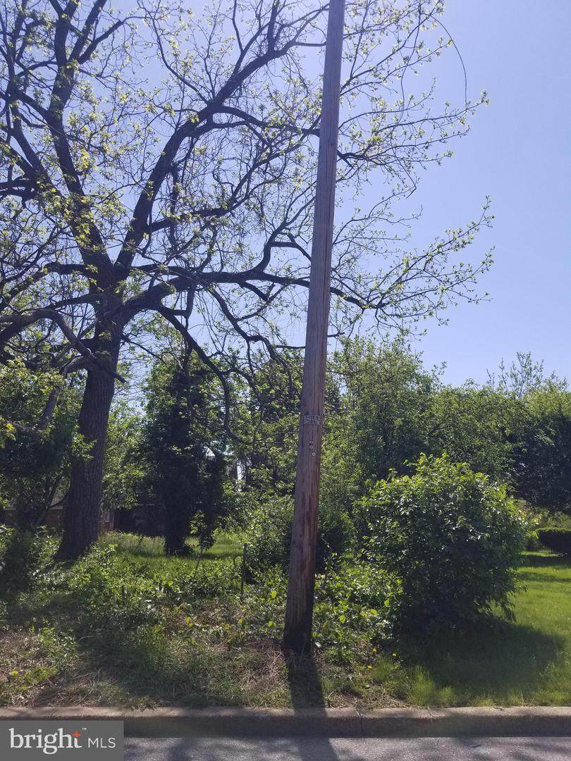 0 Olge Ave - Photo 1