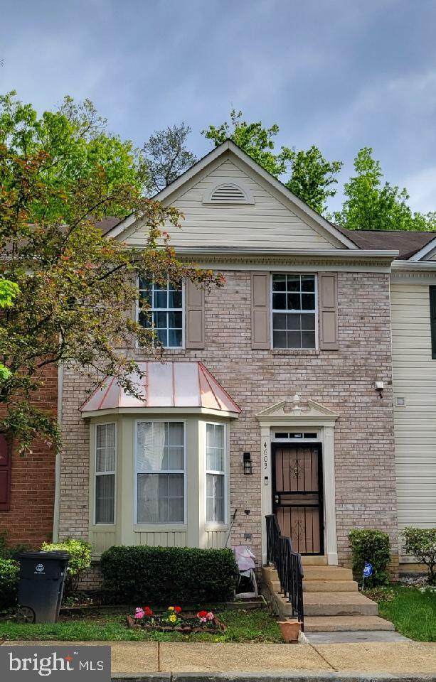4603 Pistachio Lane - Photo 1