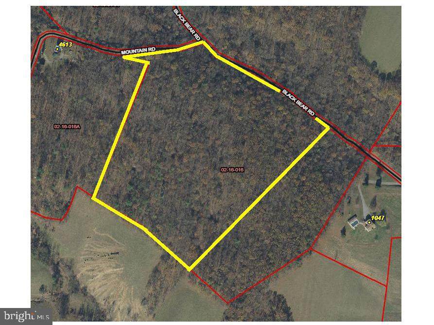 30 Black Bear Rd - Photo 1