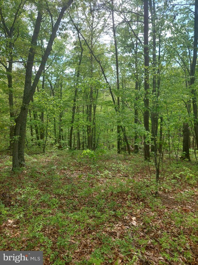 5.25 AC S Lick Run Rd - Photo 1