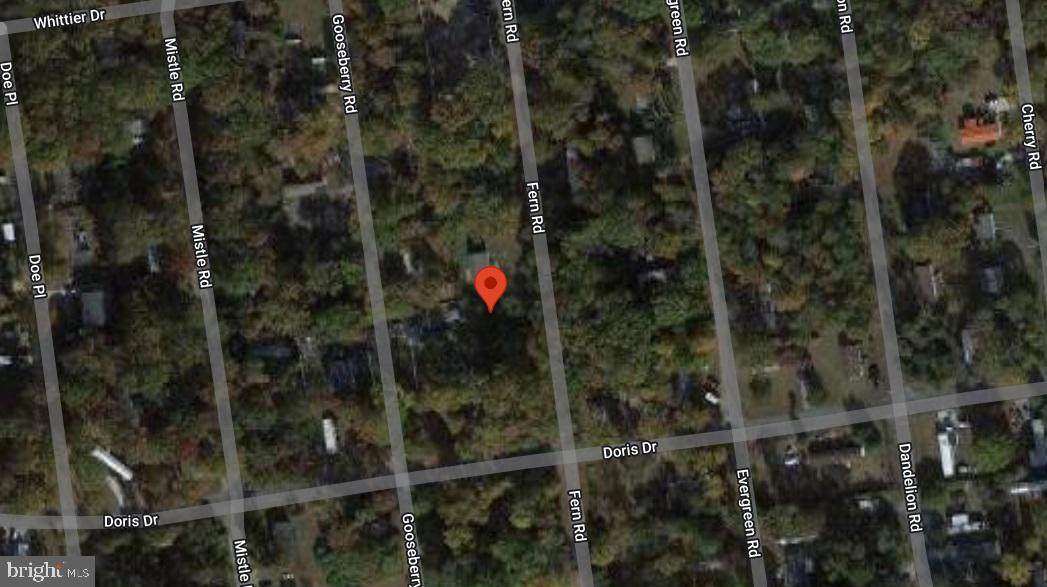 443 Fern Rd - Photo 1