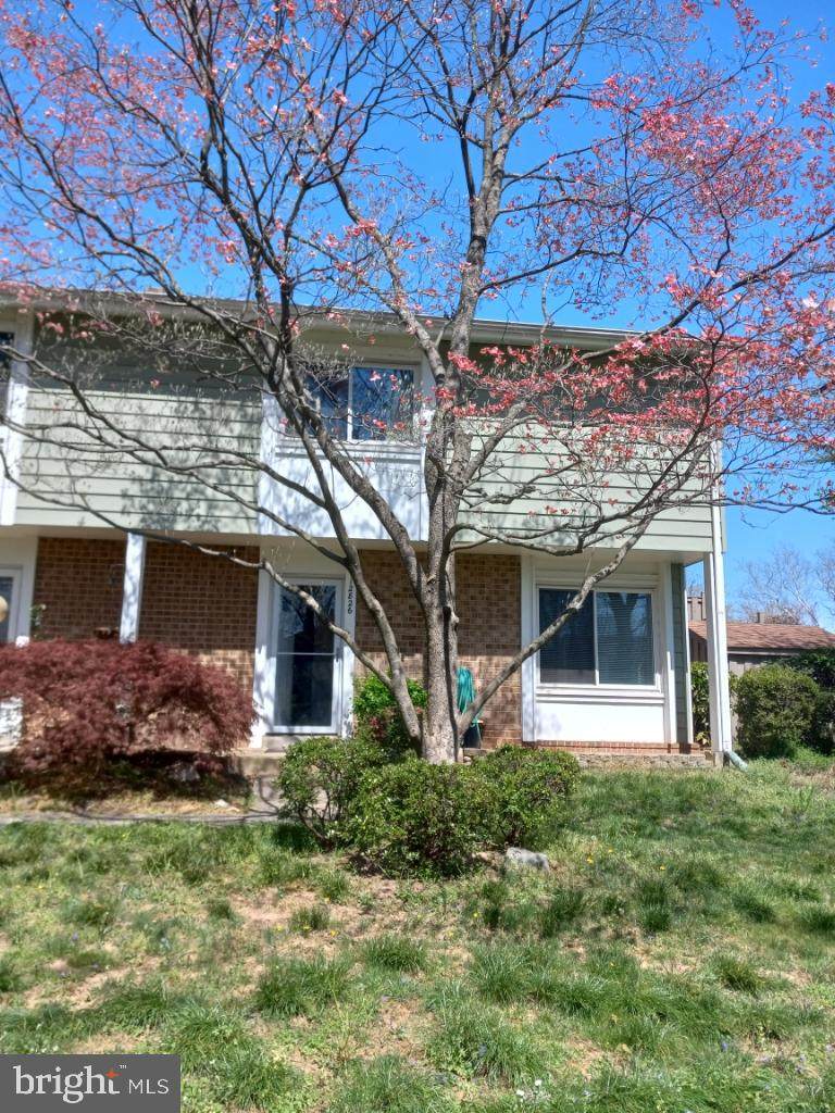 12826 Sage Terrace - Photo 1
