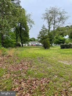 Lot 3 Holly Way - Photo 1