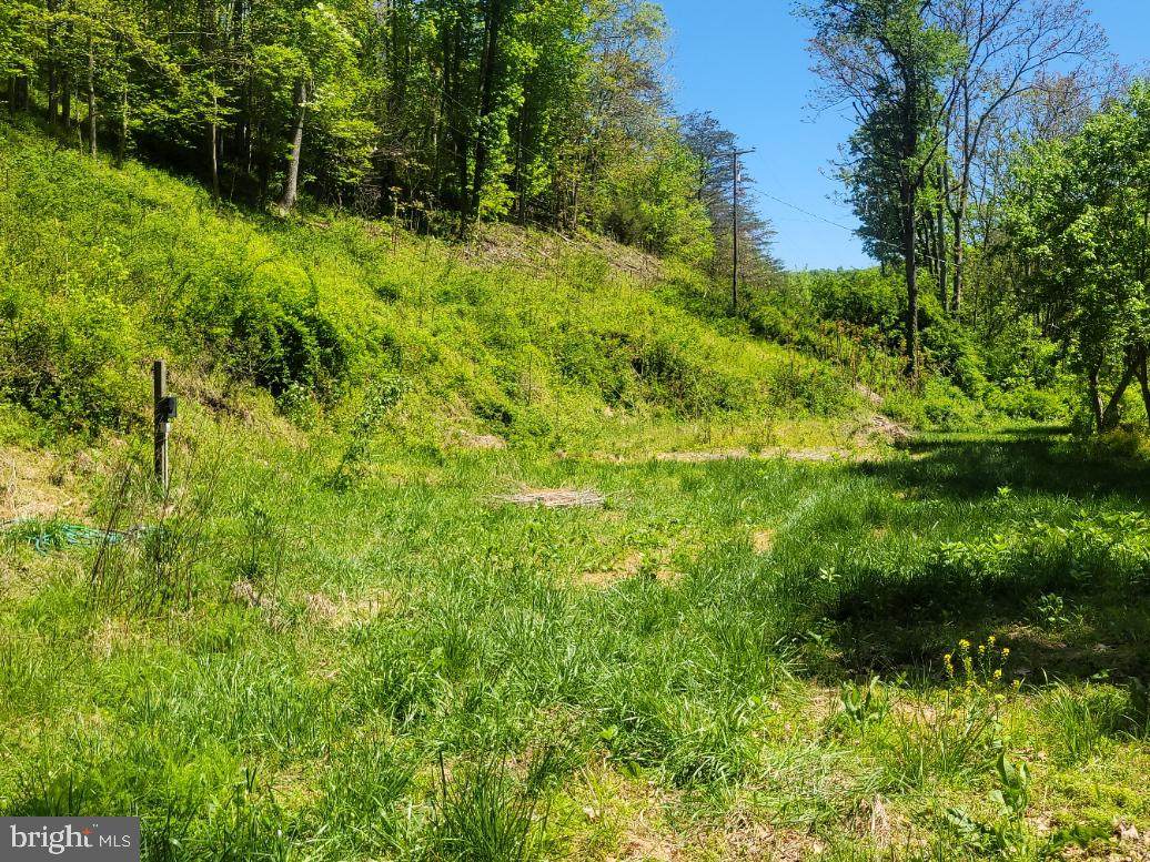 1961 Chilly Hollow Road - Photo 1