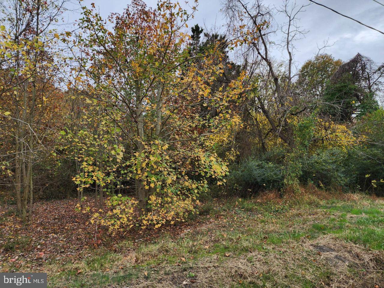 Langford Road - Photo 1