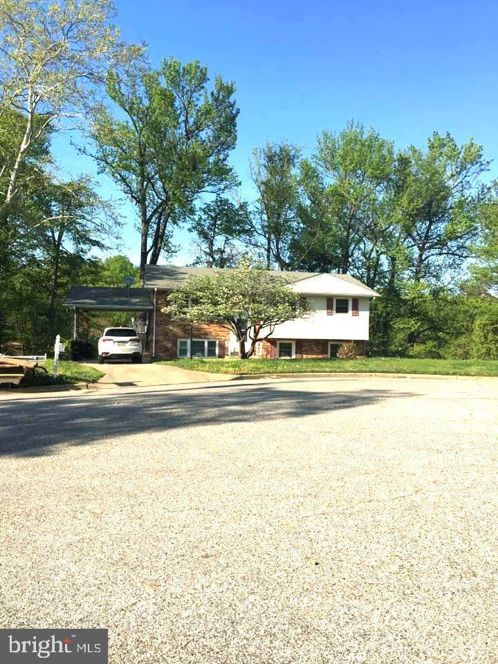 2902 Blooming Court - Photo 1