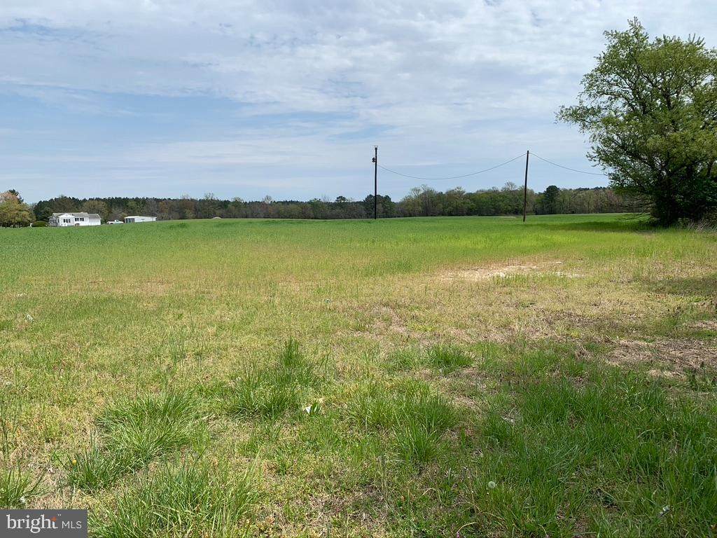 0 Gumboro Road - Photo 1
