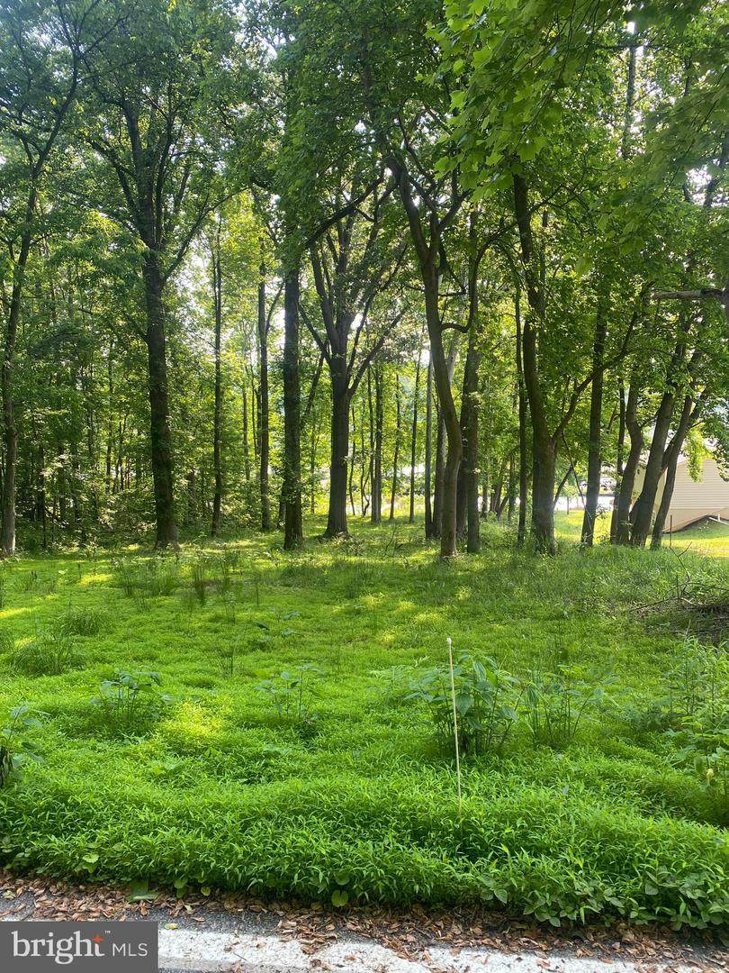 0 Shirley Blvd - Photo 1