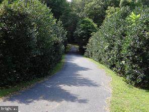 Newtowne Neck Road - Photo 1