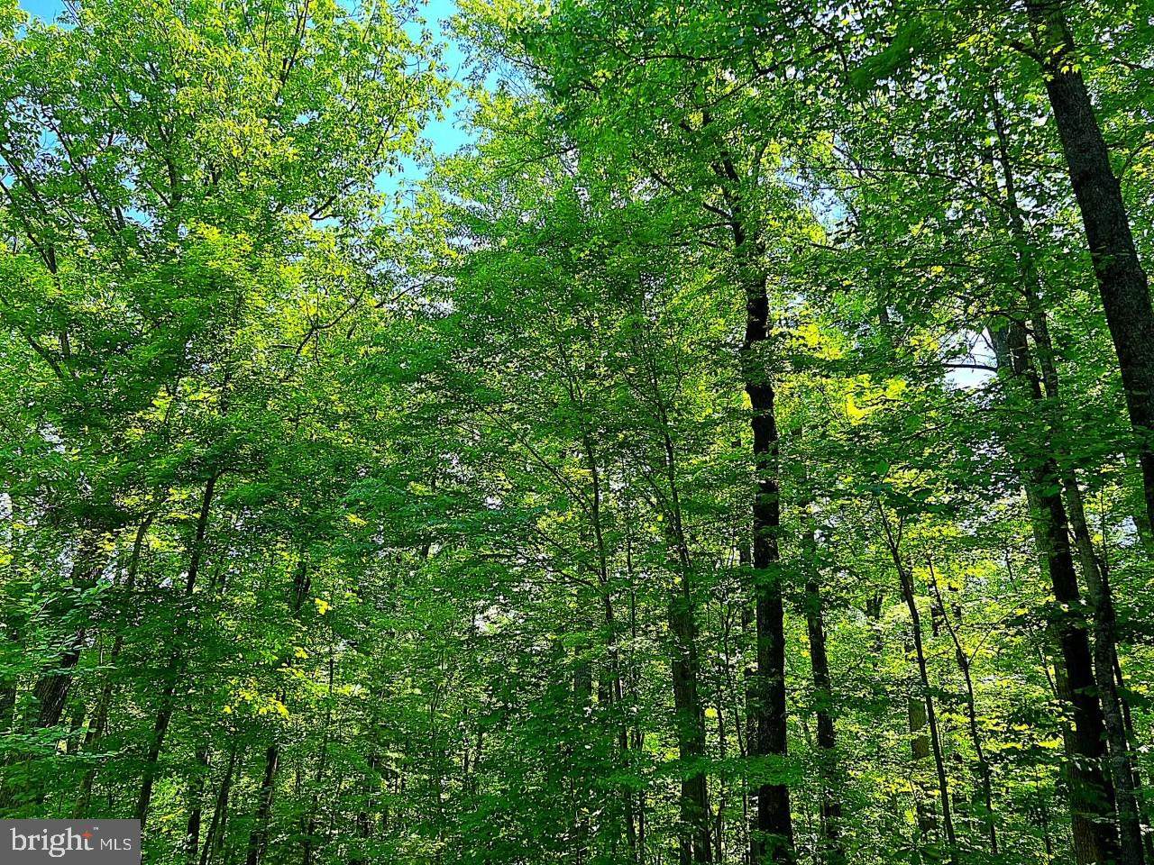 Flat Top Road - Photo 1