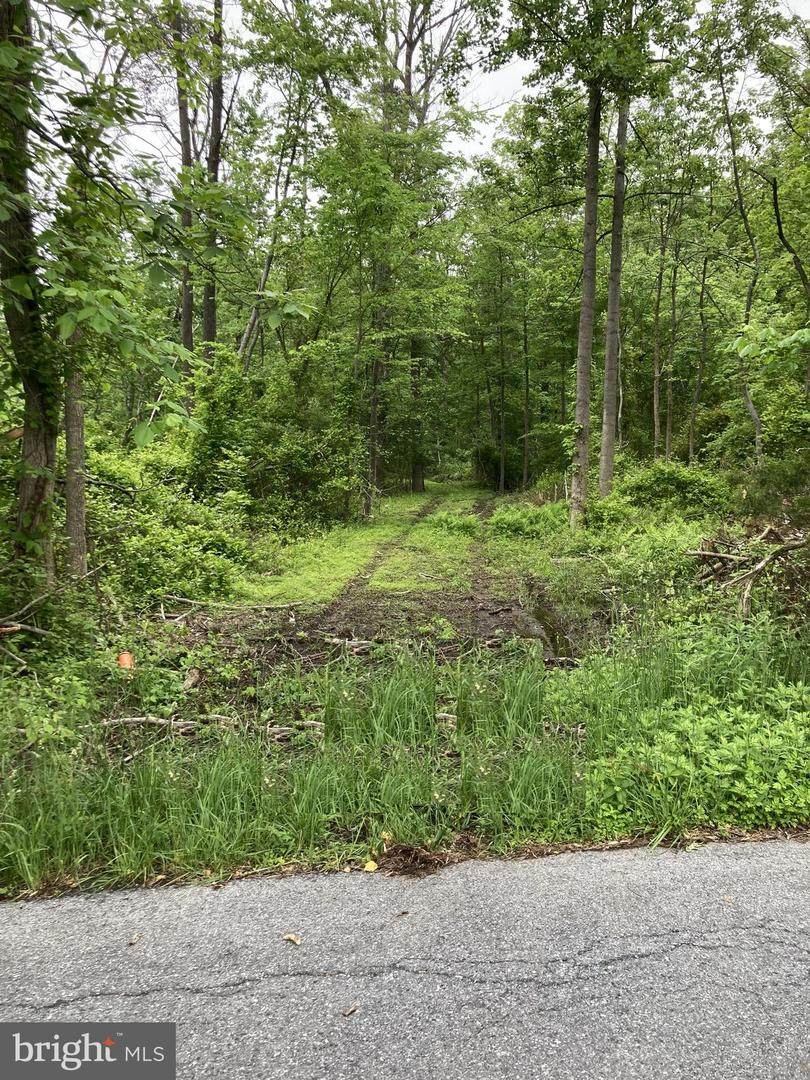 0 Hill School Road - Photo 1