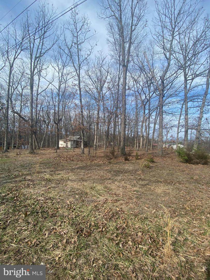 48 Daffodil Lane - Photo 1