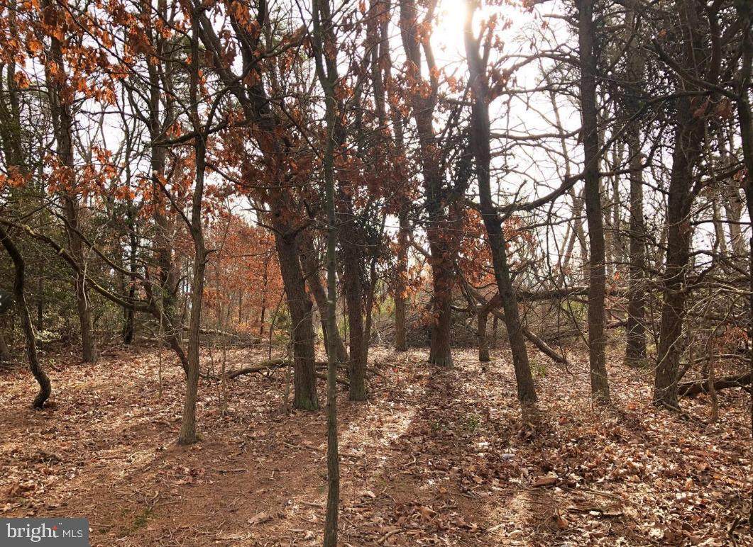 00 Fairton Millville - Photo 1