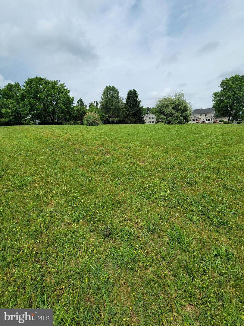 204 Quail Run Drive - Photo 1