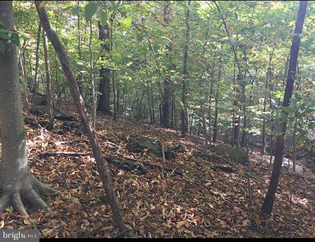 Yeagertown Road - Photo 1