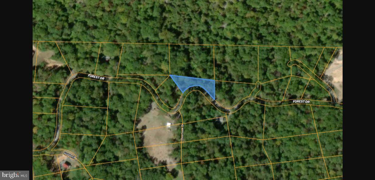 Lot #D44 Forest Drive Extension - Photo 1