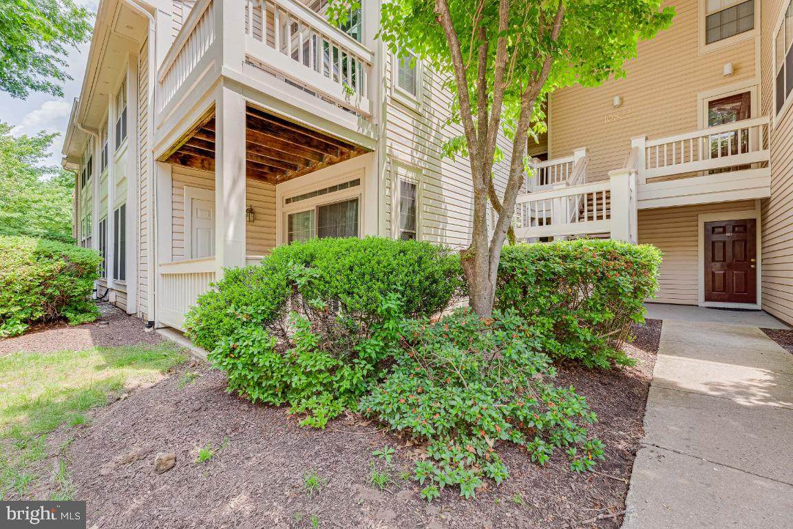 10822 Antigua Terrace - Photo 1