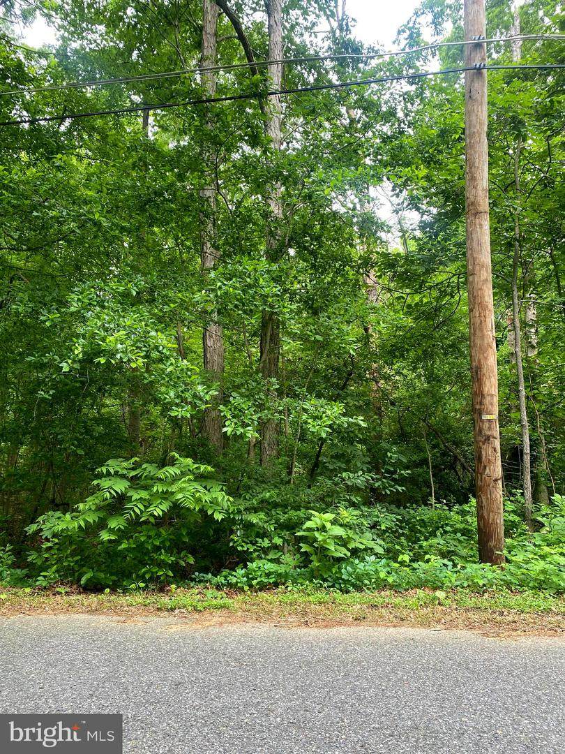 0 East Avenue - Photo 1
