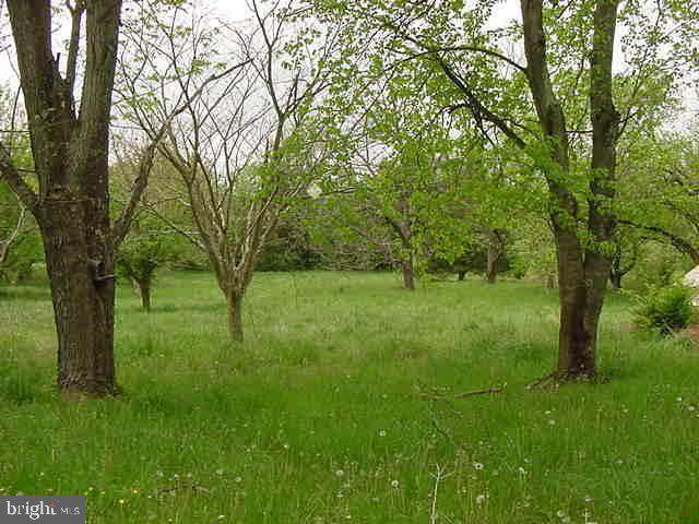 6644 thru 6560 Winchester Road - Photo 1