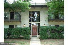 4955 Americana Drive - Photo 1