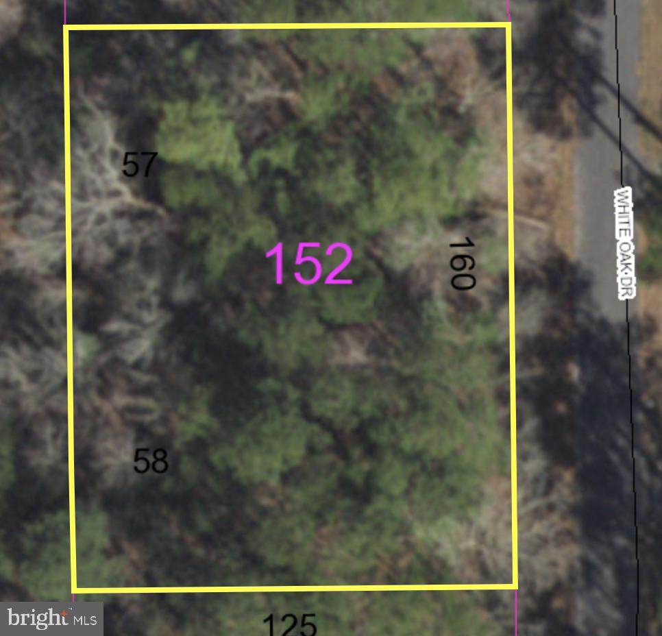 57/58 White Oak Road - Photo 1