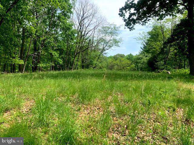Jr Rannels Rd / Finding Way - Photo 1