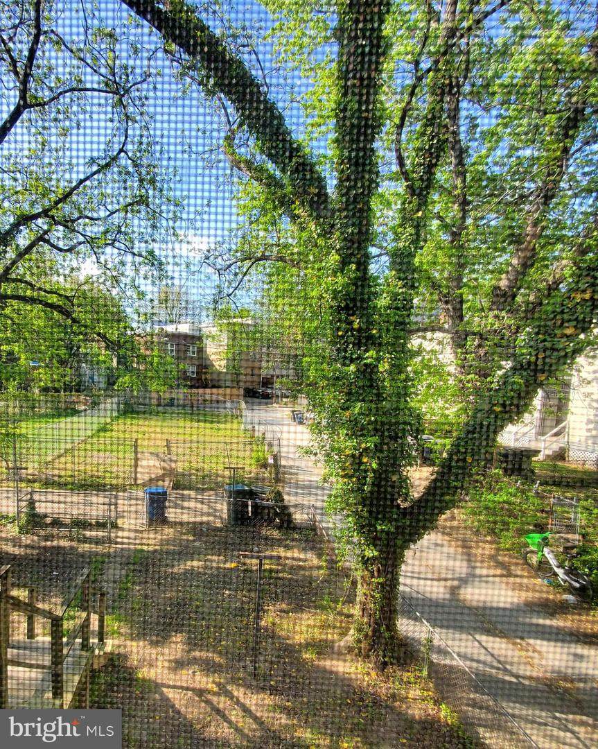1811 Q St Se - Photo 1
