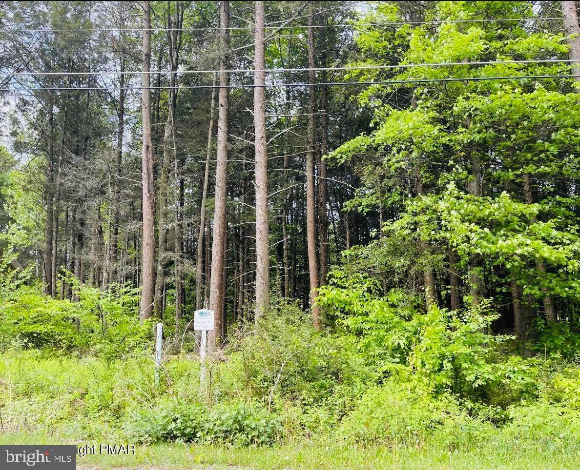 9 Driftwood Drive - Photo 1
