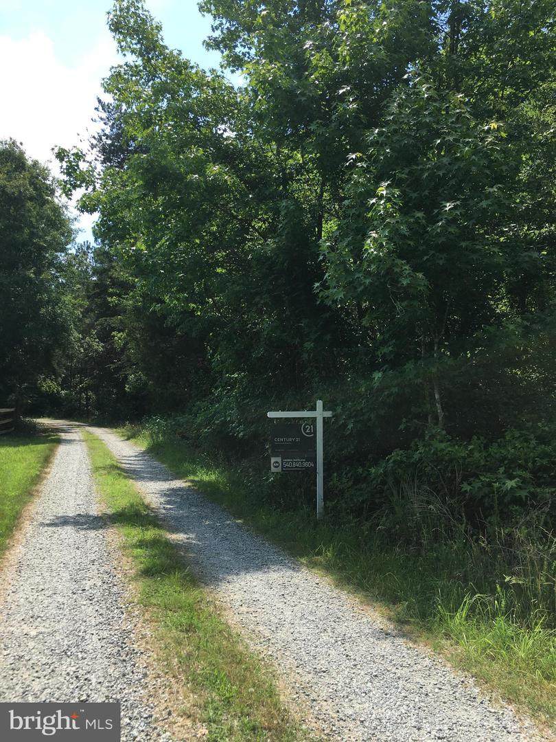 Maggies Road - Photo 1