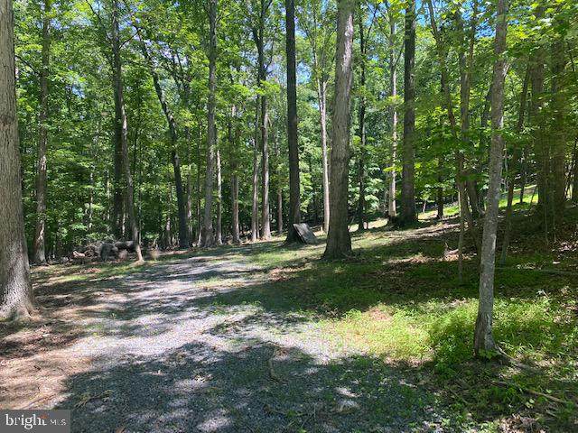 52 Seneca Ridge Road - Photo 1