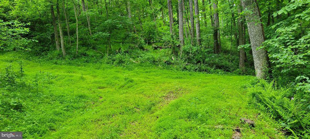 429 Dark Hollow Road - Photo 1