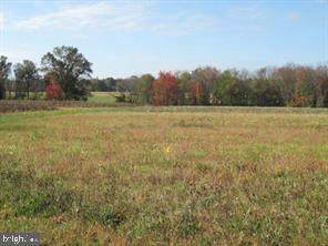 3426 Lower Mountain Road - Photo 1