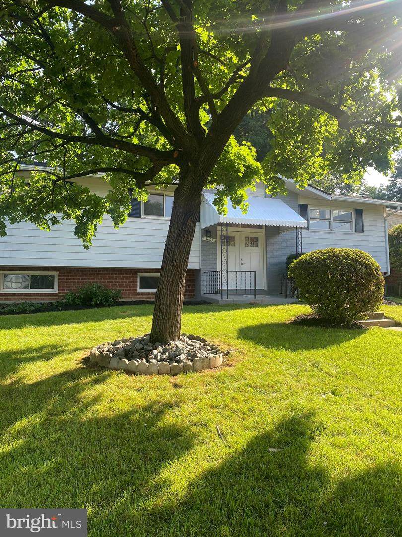5007 Regency Place - Photo 1